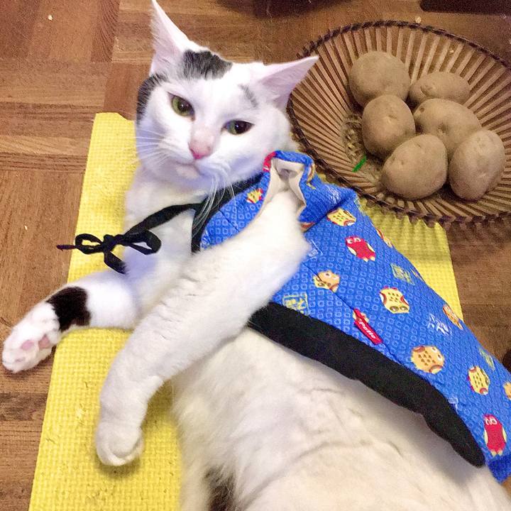 9d351add a305 45a6 80d3 d824ffb2c1f6 1572848664938