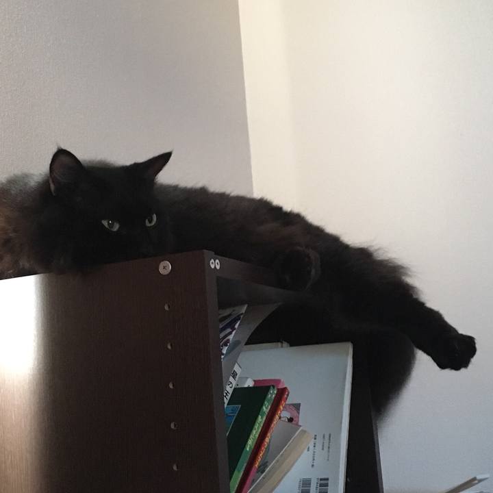 9d351fba b7c4 492b 99e0 156897af36ff 1569466984288