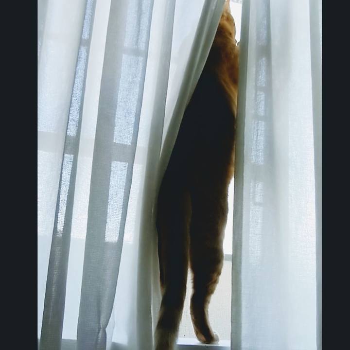 9d353bb4 6cbe 4950 927c 0064f1ca3e58 1639530502020