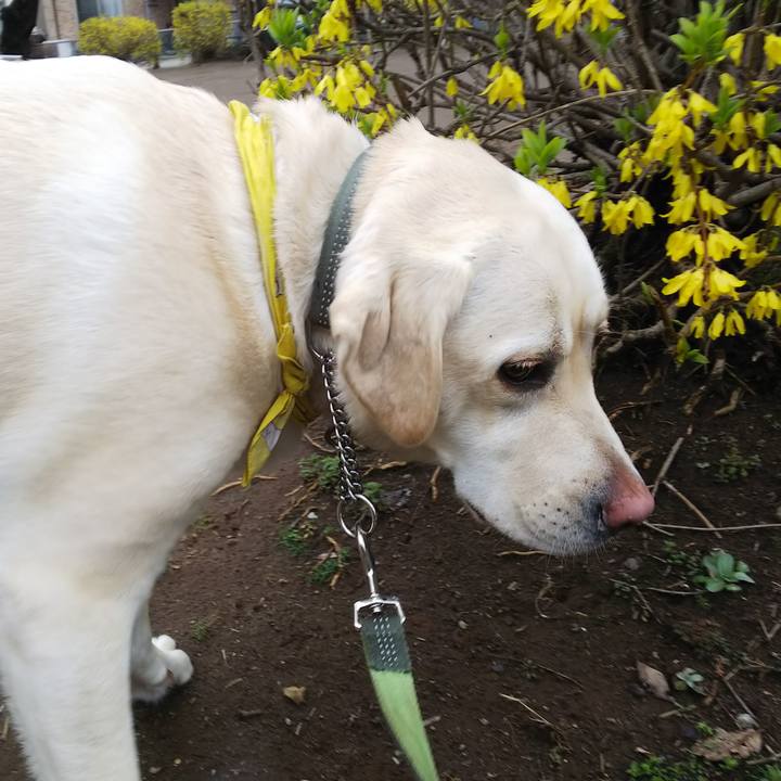 9d356a0f dfb9 445f 96d4 ebfbc54e2bf0 1521697627928