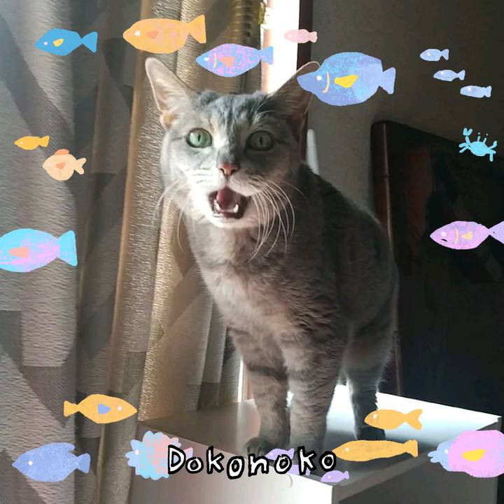 9d35882a 726c 42ed a365 dae9d40f882e 1755130994645