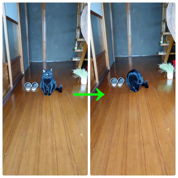 9d35955c 713d 497e bf3c 6f75ae73832d 1635672988662