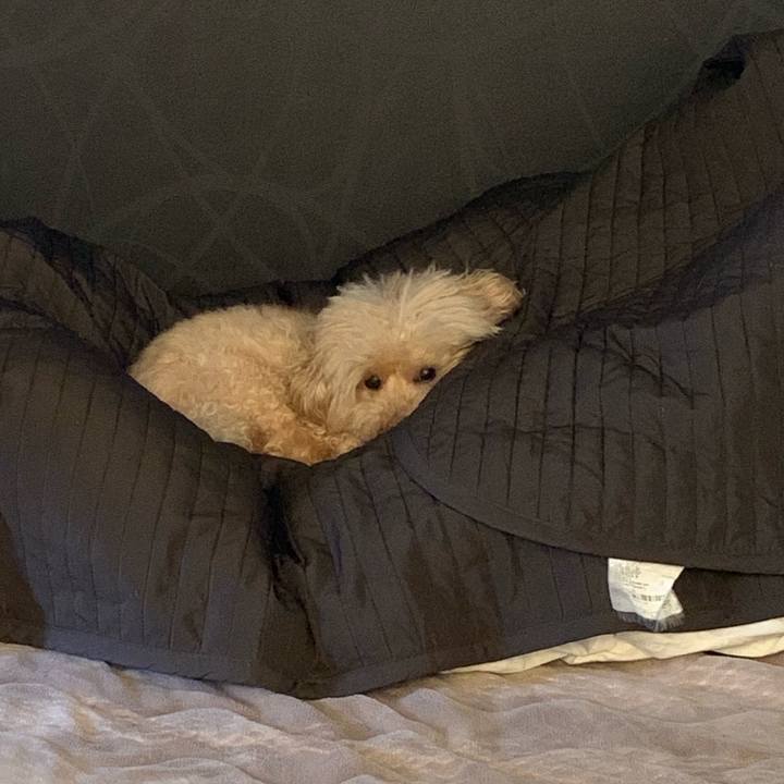 9d35977c 12f4 430b ac55 8b8ba8113623 1560202022460