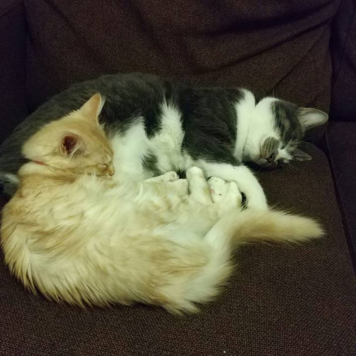 9d359dff 3660 4b9d 9e76 2b188ed8fc8d 1607697489666