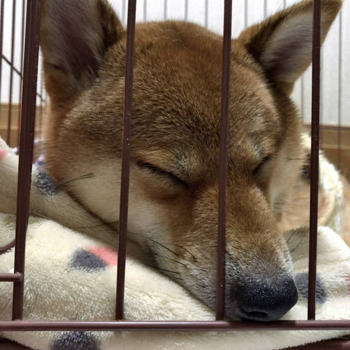 9d35befb 9138 4c35 a69a 341e3bbd05f5 1521809636865