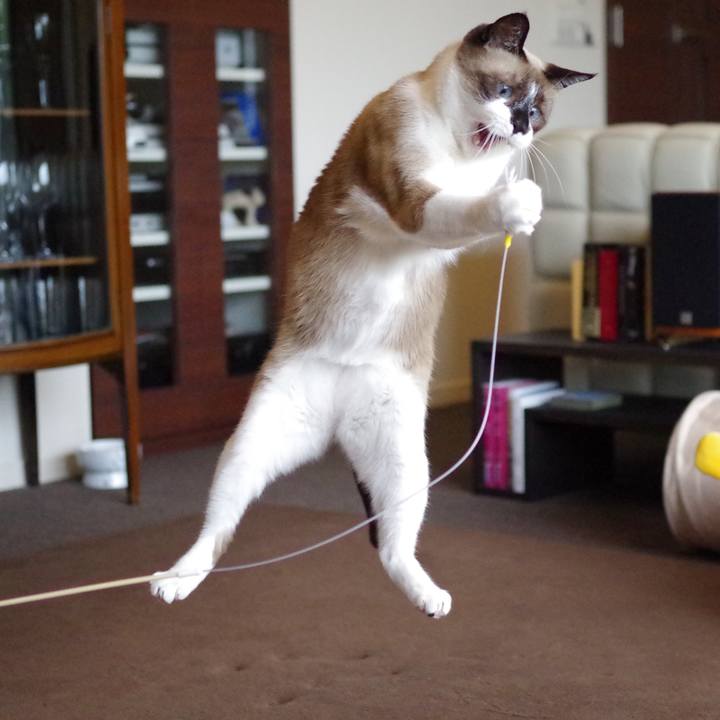 9d35d2df 881a 4570 a91a d4e73588ce0c 1540960437454