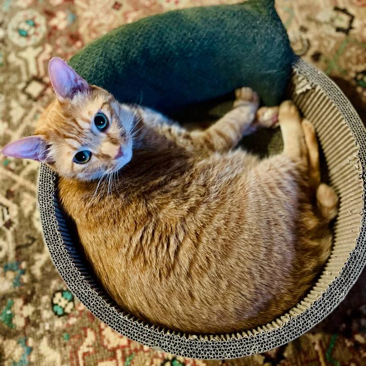 9d35ed33 5bbf 4b9f b324 45dd63305631 1663983882876