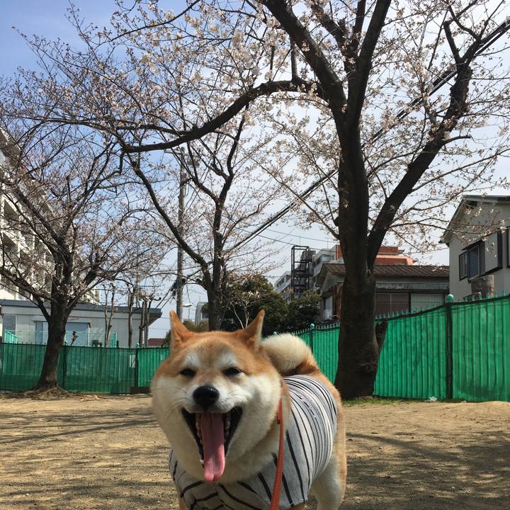 9d35f9ec 7606 4ca4 96b8 73644ae369ea 1553742141444