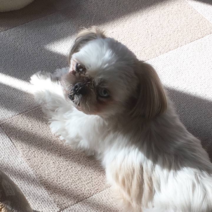 9d361e0a 0f12 46ed b185 c4e09d8f0c3d 1514509641515