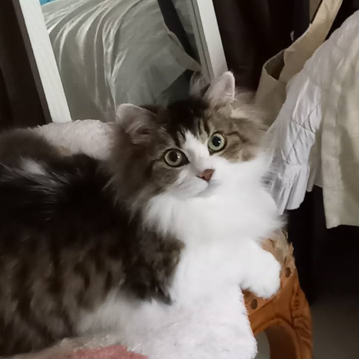 9d3653d8 8f55 4a4d 9731 bf4c29d0d2dc 1685970296233