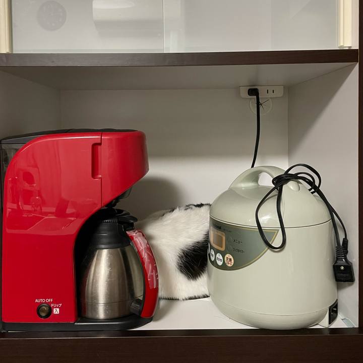 9d369372 6fb5 4358 ae21 8893d8d00b4d 1605710875619