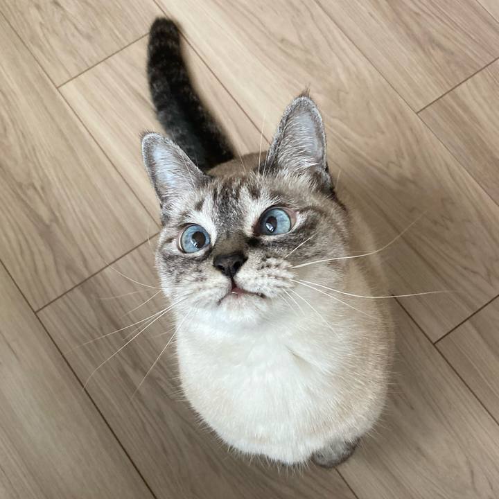 9d36b396 dec2 413a 8e4b 0c77a34dc74b 1762565380487