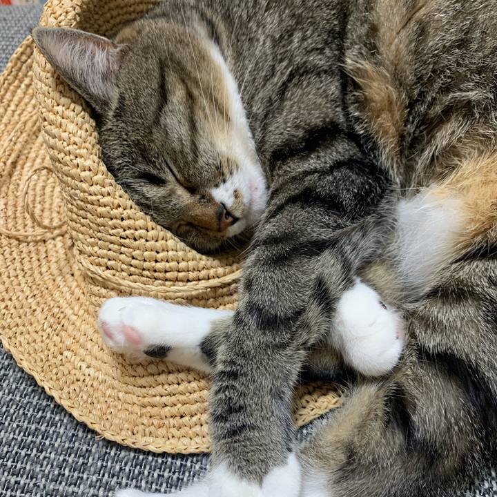 9d36dc11 93be 4b7e 9645 ebad8a2a70c2 1627189908662