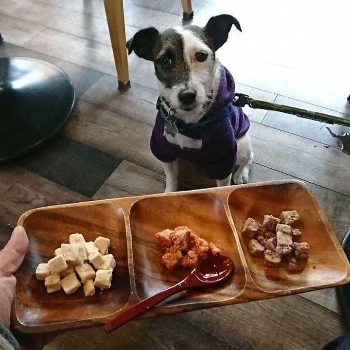 9d374e60 a0a6 4026 8f1d 05ecb9c8e644 1518930041402