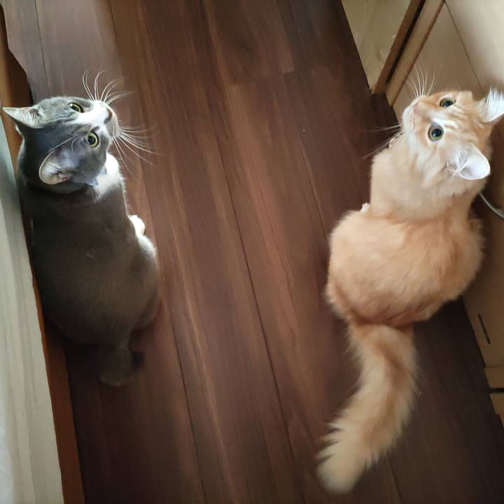 9d374f8b 6693 46a6 89da 92da6c4eb3f5 1667517728270