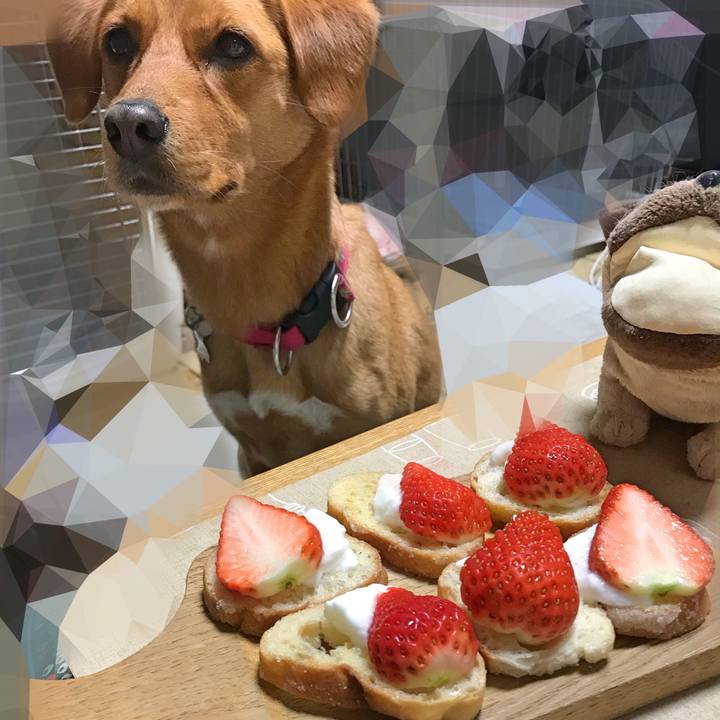 9d3751d8 c793 49fa 9b03 aca24a6ef69e 1518604714929