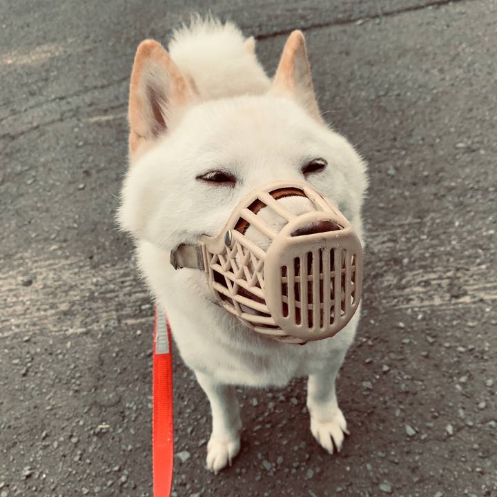 9d37713a e724 4a23 a41a 99764f0acc44 1564955342671