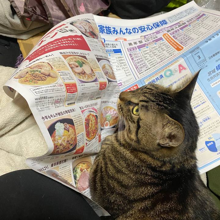 9d37d24d 02ce 4306 8d84 152b7098aae6 1607655250872