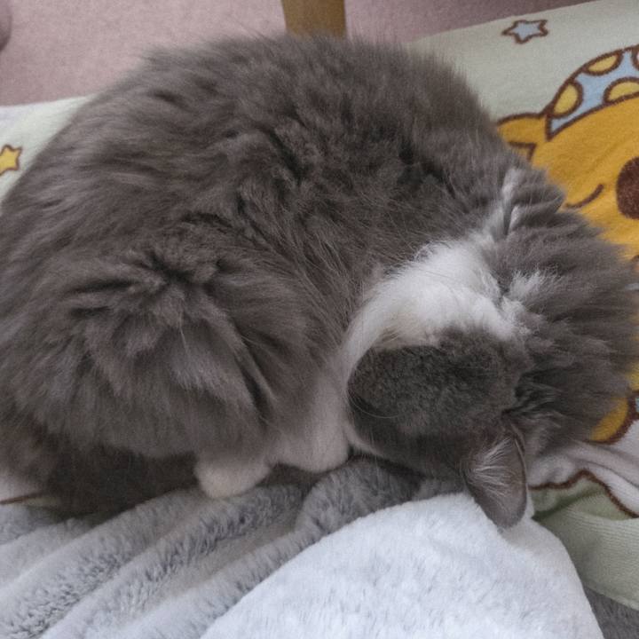 9d37d90c 564c 45bb a41c 3b5c1665e6c4 1762988393796