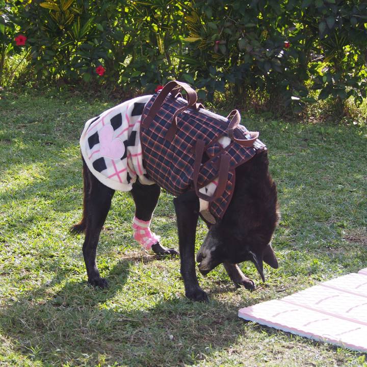 9d381312 69bb 4c33 9cc5 ee59ada91b68 1550413464697