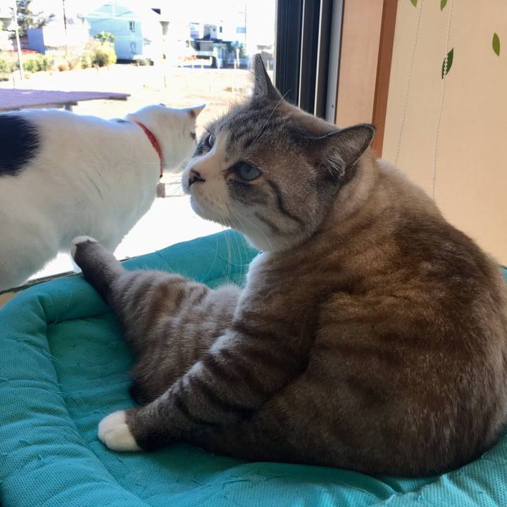 9d383a9c 06fd 4508 8f8d 563f0759f146 1519952316932