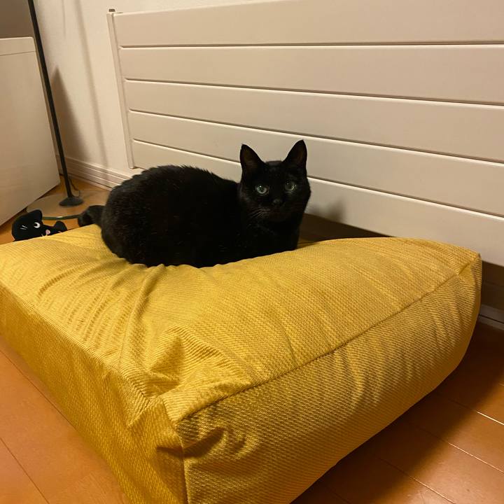 9d383f13 7893 4647 ae3e 8dc1c1ea475b 1607684934244