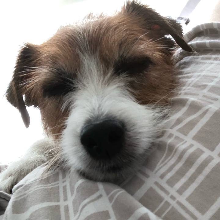 9d385333 4798 48d5 ace3 6808564c6c1f 1597532136606