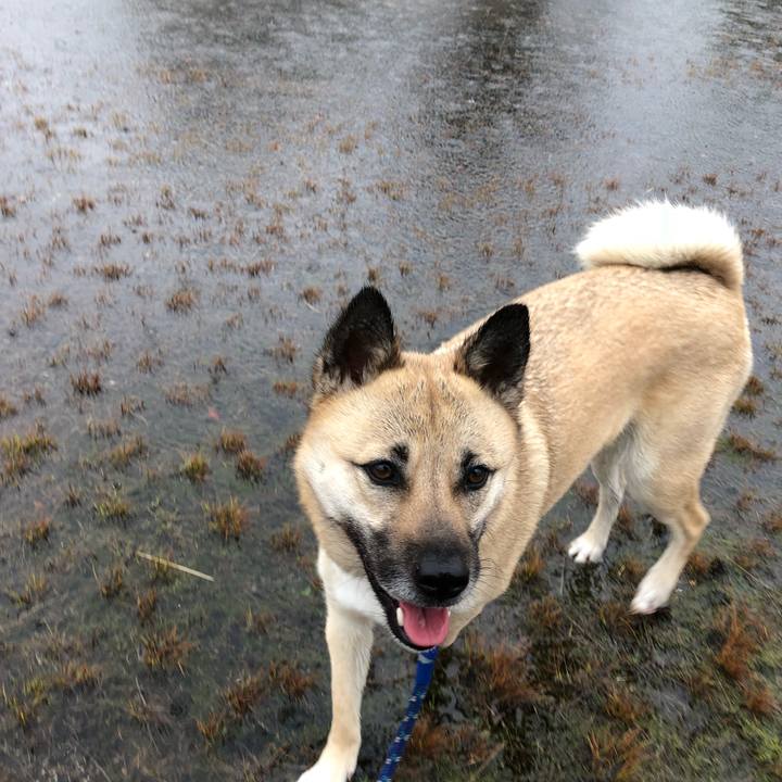 9d387fae 79de 4cfa b04d 81429df73823 1521600471578