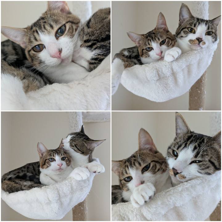 9d388763 032b 4a08 ba87 14a319ac6978 1739419401316