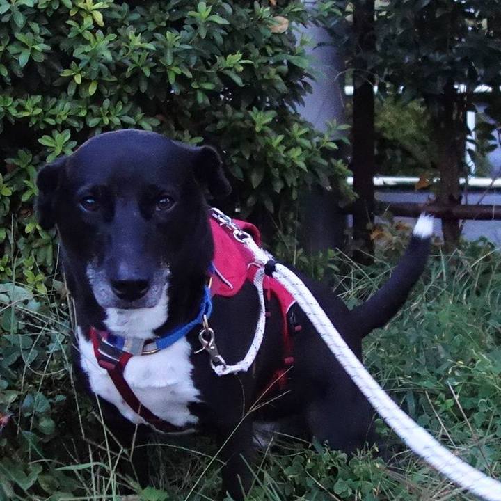 9d38ae31 07c6 458b 8ccf 8eb8a5e070f7 1663497707414