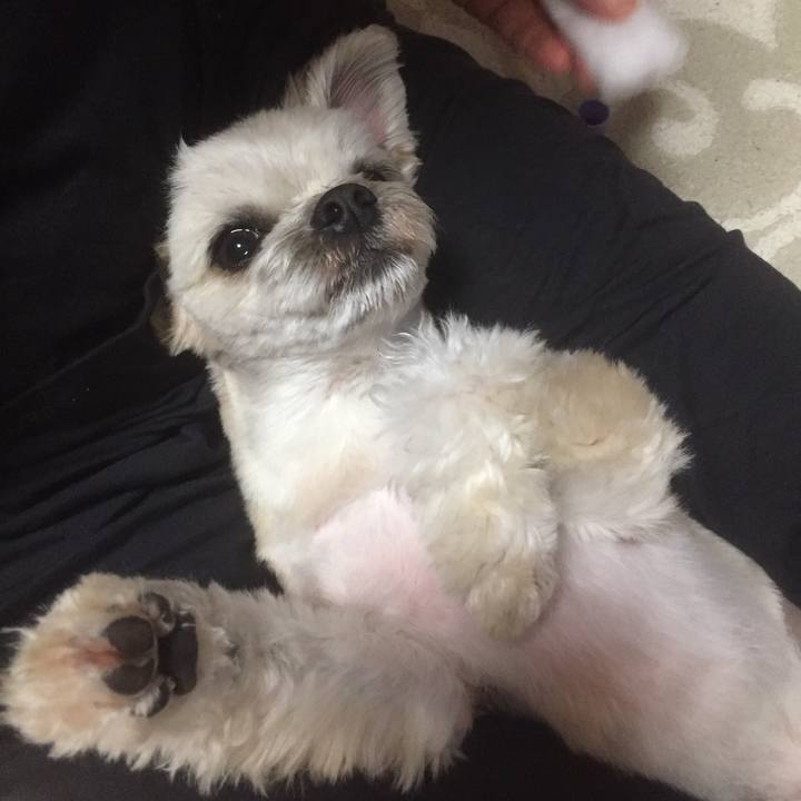 9d38b2d6 e814 4966 9a9b d8c931cdda5a 1558962148629