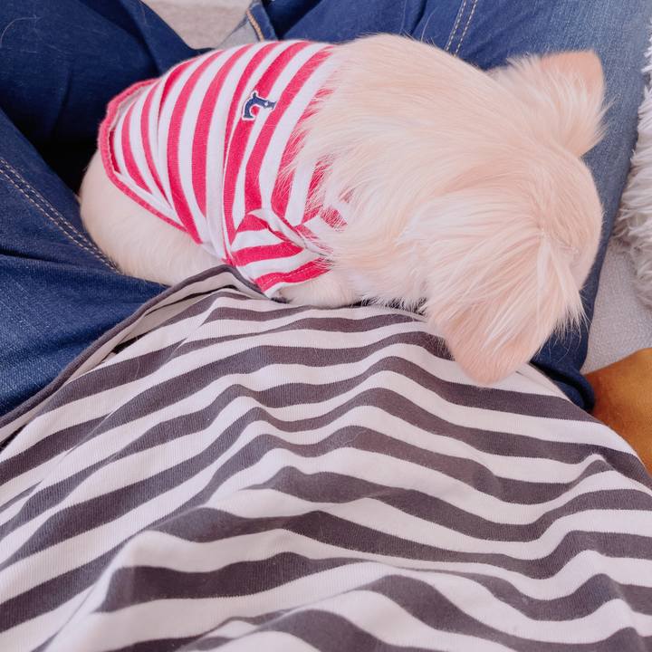 9d38fa5a 2cc9 4afa bcc8 a38607b1034f 1683635565466