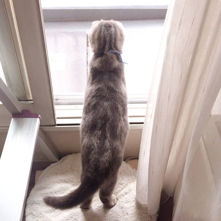 9d394b83 498e 4d60 b4a2 3fa32001259b 1589359923743