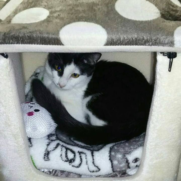 9d397e0e 8bf7 4e9c aa45 d8b6cee1873d 1516977321190