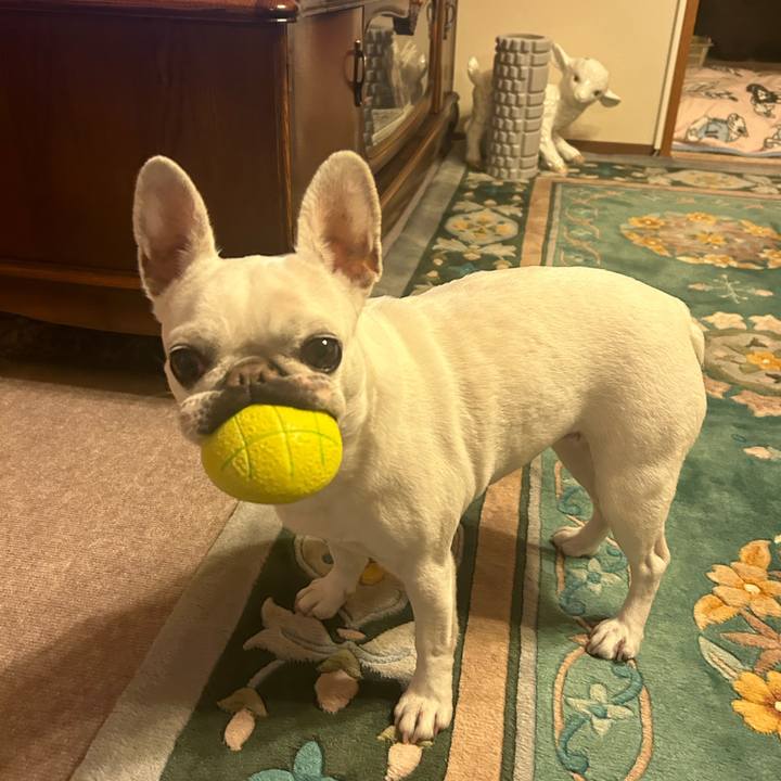 9d3998cb afc8 4880 b34c 79399863b2ed 1707123254835