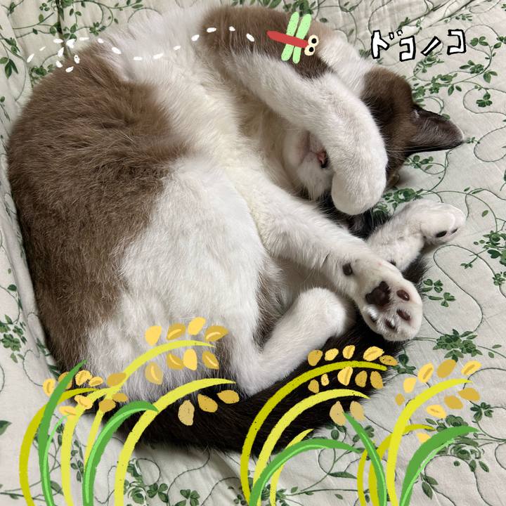 9d39a426 d079 468c 9680 e3d3a4ac61bf 1761338706544