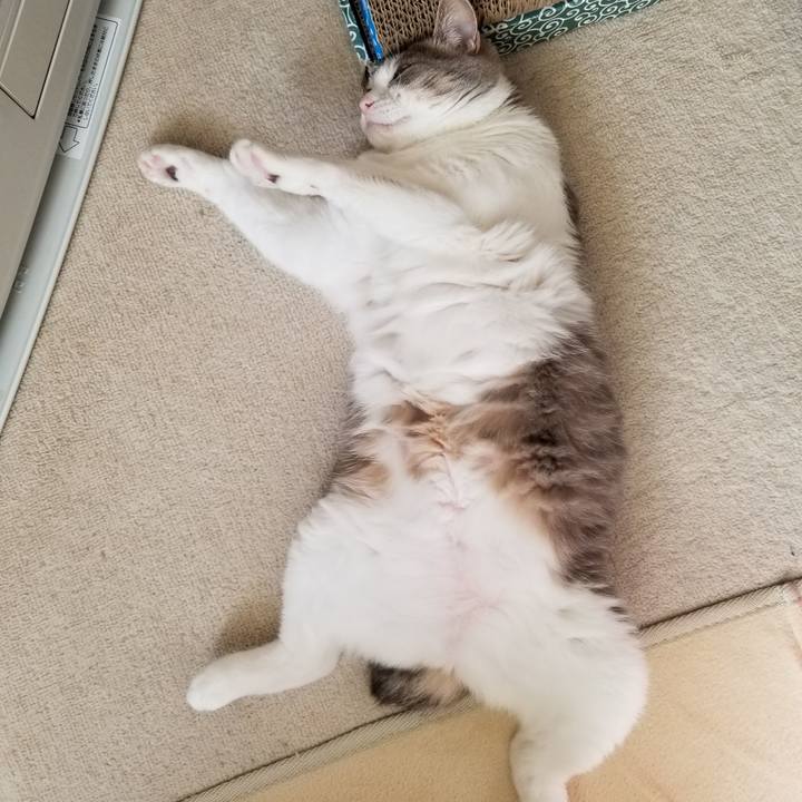 9d39df84 ba38 435a aac8 e2ed988932f4 1676688669294