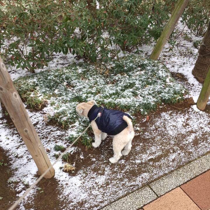 9d3a0d9a ed27 4846 8c56 28243a0398a4 1549697514866