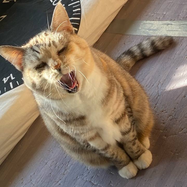 9d3a1dfe ca31 4215 9224 ab956f02c521 1674350509819