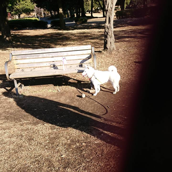 9d3a220d 4c1c 4150 879e 32ccb1cad72c 1514593662711