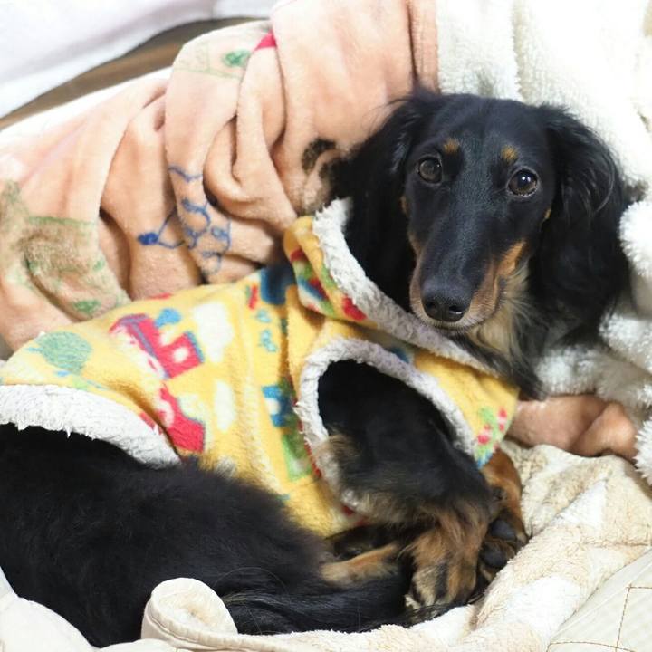 9d3a4d7f 3598 4805 94d3 db74c618afb1 1547613230986