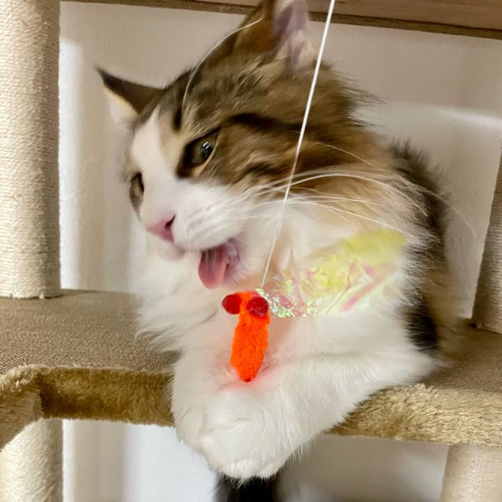 9d3aa6fc c7a4 4c10 8b93 61dd049d65ae 1639430944920