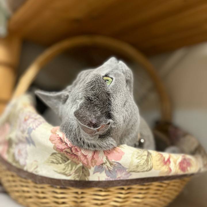 9d3aad97 cb8f 4c83 add2 747772d93284 1640442728346