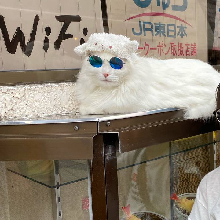 9d3acdd1 1085 4d42 8b27 6705f9db4319 1601944248206