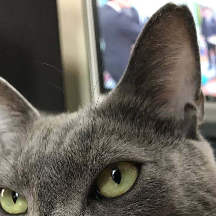 9d3aecb9 af14 4cd6 8b38 076e5a9cfcff 1518220054871