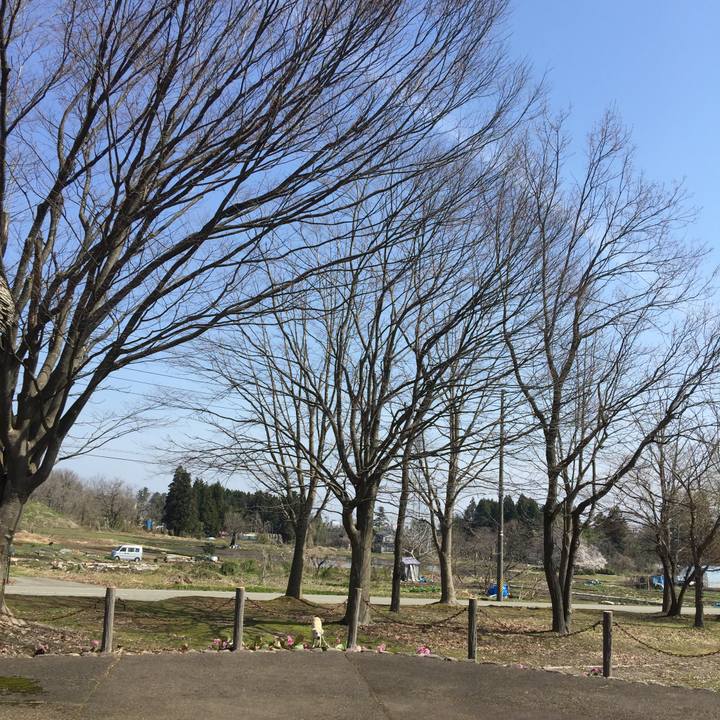 9d3b2bb1 c80e 4e4c 9897 fa9b6294187b 1523330452734