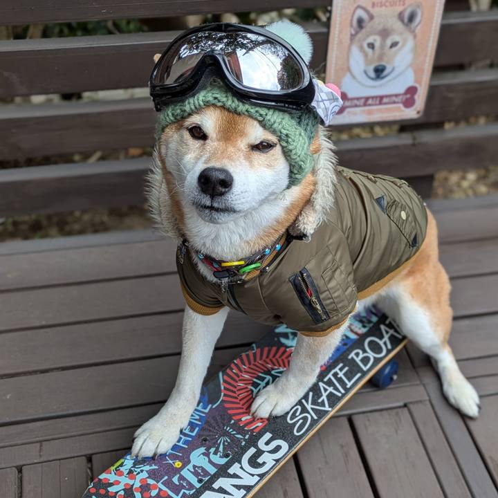 9d3b2ee4 f2aa 4ada b3c6 b38c41875f4b 1771305007454