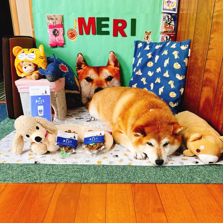 9d3b5f74 95e5 4213 b56b e738119da771 1653704749884