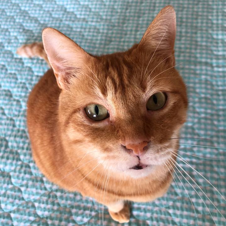 9d3b6b2b 65c8 4c24 bd08 9de786d7be7b 1657577474294