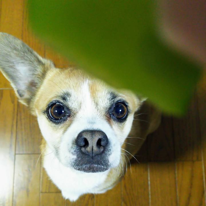 9d3b8a71 d303 433a 92ce ae2dfcbcec5c 1583445869381